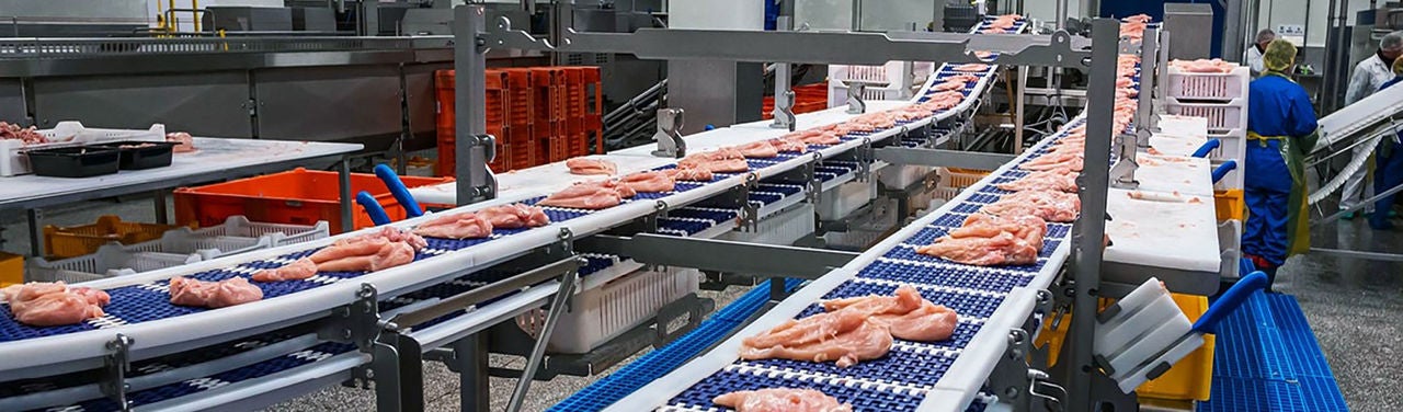 MULTIVAC Poultry Processing Conveyor System