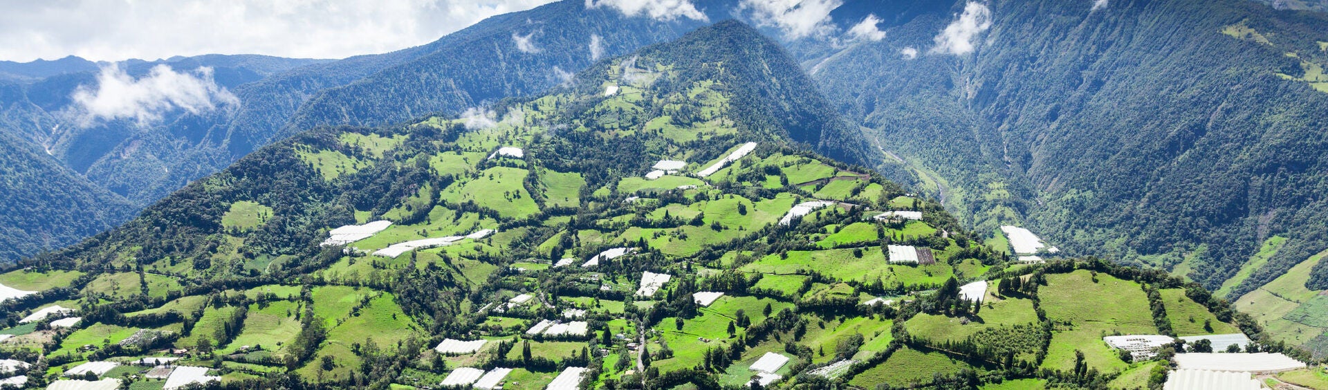 Ecuador Highlands Agricultural Landscape