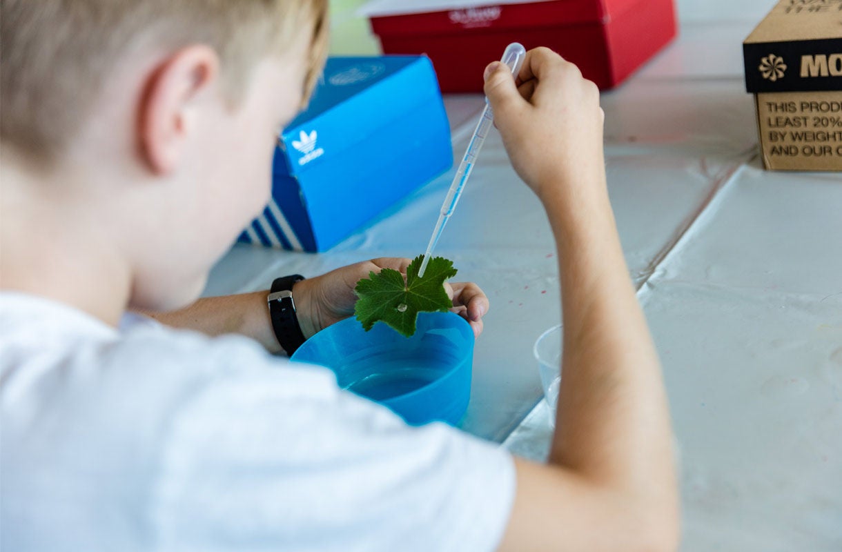 Child Conducting Leaf Experiment with Pipette